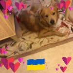 Susan Macmann - @macmannsusan - Instagram