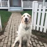 MAC_MARSH - @mr_marahal5 - Instagram