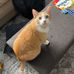 Mac Matthews - Facebook