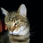 MacMayer - @macmayer78 - Instagram