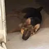 MacMayer - @mac1marc - TikTok