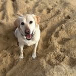 Mac McAllister - @roamingwithmac - Instagram