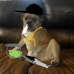 Mac - @mac_mcbride_20 - Instagram