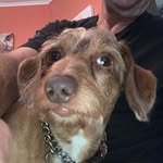 Mac McBride - @cgmcbridejr422 - Instagram