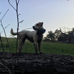 Mac Mcbride - @mat_9754 - Instagram