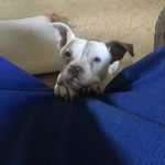 MacMcC - @mac.mccracken.7 - Instagram