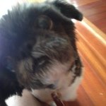 mac mccray - @mac.mccray - Instagram