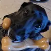 Mac McDaniel - @mac.mcdaniel - TikTok