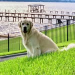 Mac McGehee - @trmjr59 - Instagram