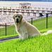Mac McGehee - Facebook