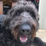 Mac McGowan - @mac.mcgowan - Instagram