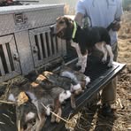 Mac McLaughlin - Facebook
