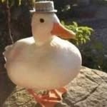 Mac McLelland - @mclelland_mac_05 - Instagram