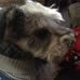 Mac McLemore - Facebook
