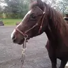 McMillan Mac Cathy - @mcmillan.mac.cath - TikTok