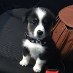 Ollie Mac McMullen - @olliemacmcmullen - Instagram
