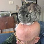 John McNicol - @mac.mcnicol - Instagram