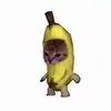 mac - @macdellnmeansme - TikTok