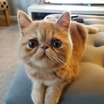 LOLA_MacMilton - @lola_macmilton - Instagram