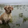 mac.moe2319 - @mac.moe21 - TikTok