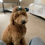 Mac Moran || - @macthedoood - Instagram