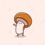 macmoran - @mushroom0love - Instagram