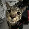 Maci - @_maci.morgan_ - TikTok