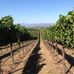 Mac Murray Ranch - Facebook