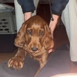 Finnegan Macneely - @finn_macneely - Instagram