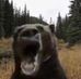 Mack Nicholson - Facebook