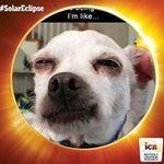 James Norwood - @jnorwoodmack50 - Instagram