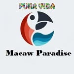 @macaw_paradise_ - Instagram