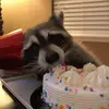 macinparadise - @macinparadise - TikTok