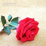 mac parmar - @vinay15812 - Instagram