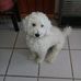 Maceo Parsons - Facebook