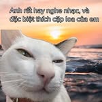 @macp_ham - Instagram