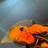 macpierce445 - @macpierce445 - TikTok