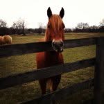 Mac Powers - @mac3474 - Instagram