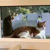 Mac & Reese - @mackyman7 - TikTok
