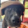 Noah MacRitchie861 - @noahmacritchie861 - TikTok