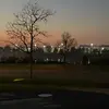 maci.12 - @macirivera - TikTok