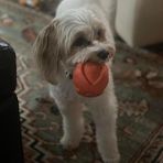 Mac Ross - Facebook