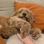 Macie Rosser - @_.mac._ross._2007._ - Instagram