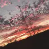 macksawyer21 - @user99903661795021 - TikTok