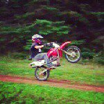 Sawyer - @sawyer.mac - Instagram