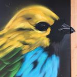 Mac Schneider - @macsch_ - Instagram