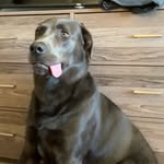 Mac Schultz - @mac_the_stallion_ - Instagram