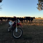 Mac Schultz - @macschultz87 - Instagram