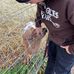 Mack Schultz - Facebook