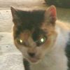 user691224077554 - @macscott - TikTok